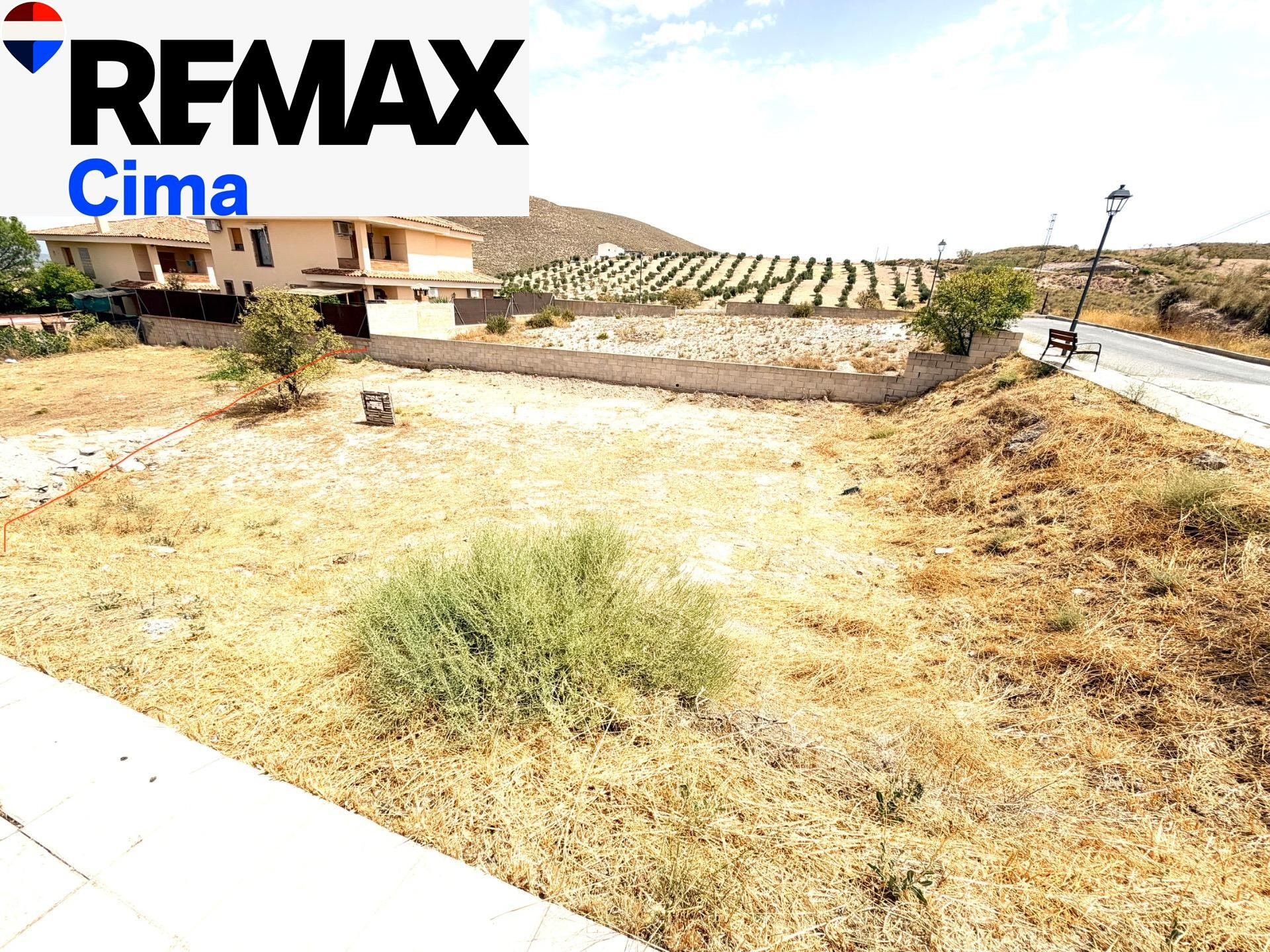 SE VENDE MAGNÍFICO SOLAR EN FREILA (GRANADA)