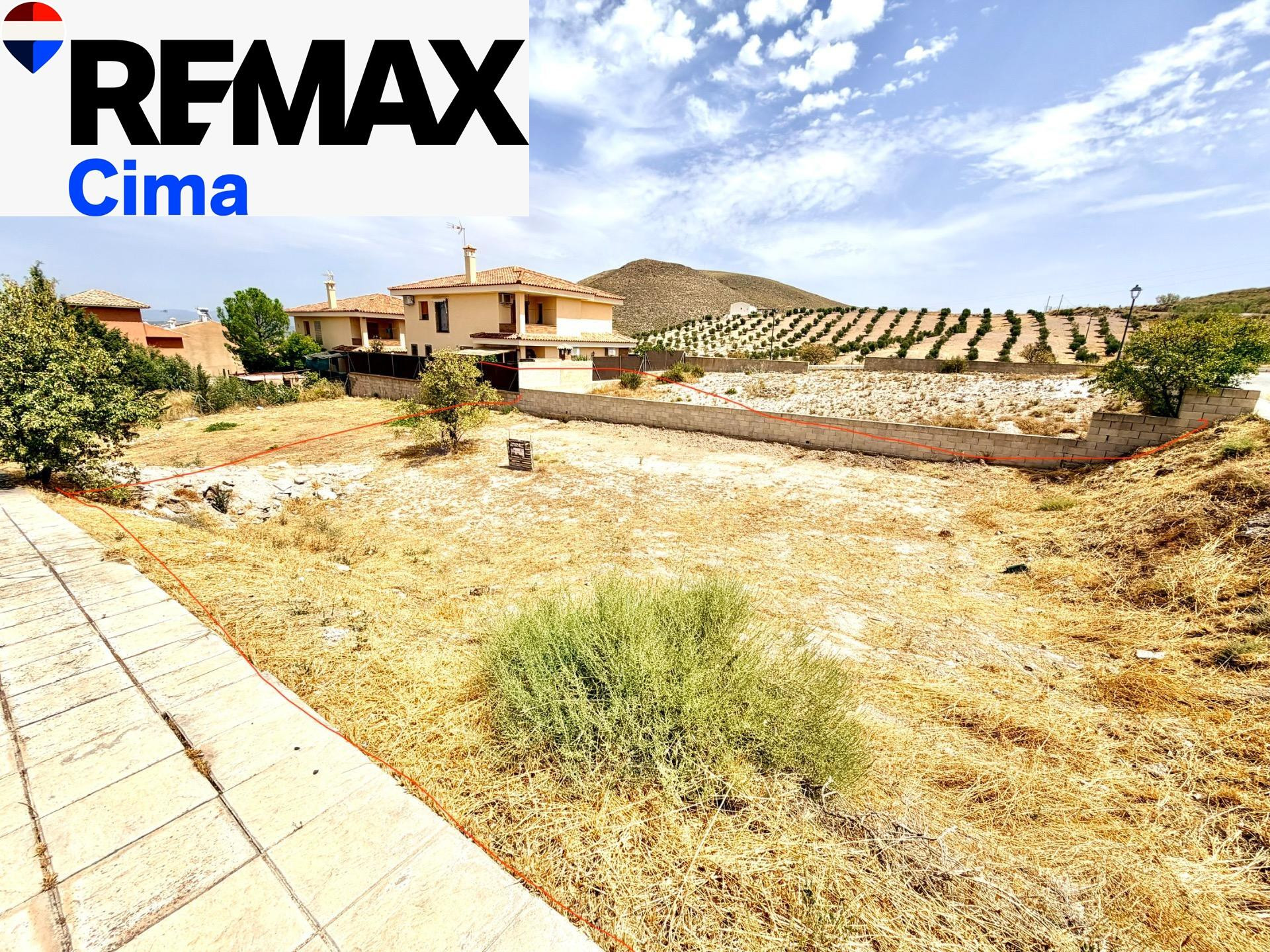 SE VENDE MAGNÍFICO SOLAR EN FREILA (GRANADA) - foto 2
