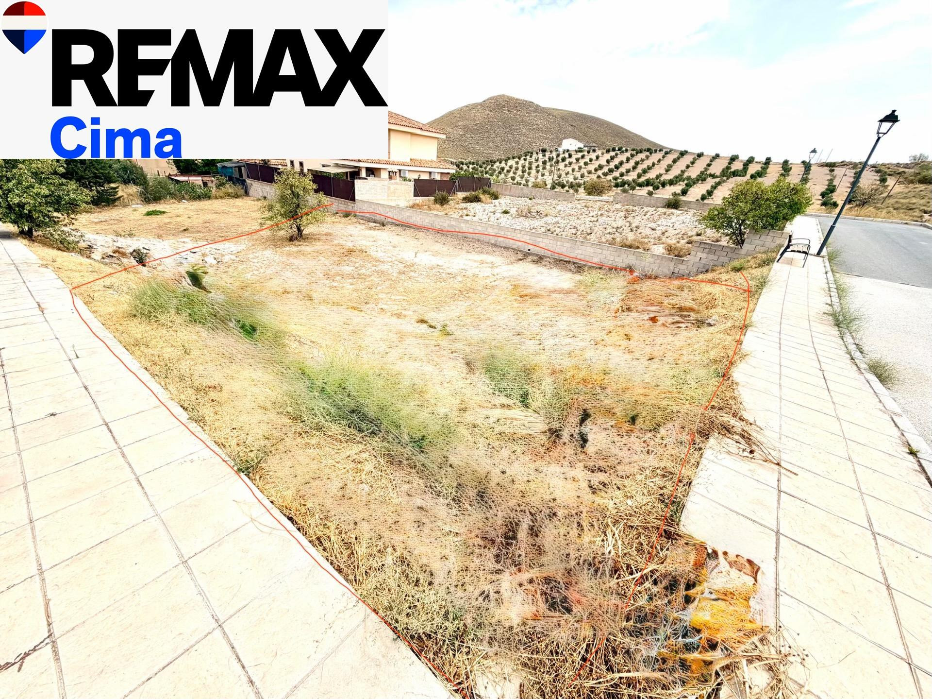 SE VENDE MAGNÍFICO SOLAR EN FREILA (GRANADA) - foto 5