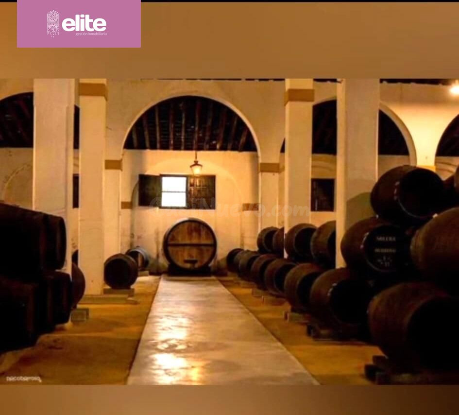 MAGNIFICO CASO DE BODEGA EN EL CENTRO DE JEREZ REFORMADO