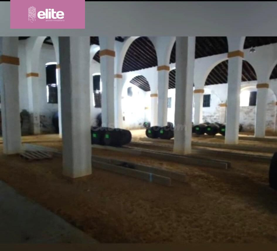 MAGNIFICO CASO DE BODEGA EN EL CENTRO DE JEREZ REFORMADO - foto 2