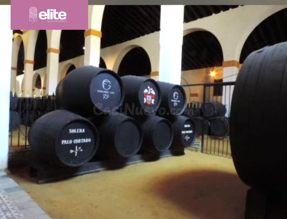 MAGNIFICO CASO DE BODEGA EN EL CENTRO DE JEREZ REFORMADO - foto 3