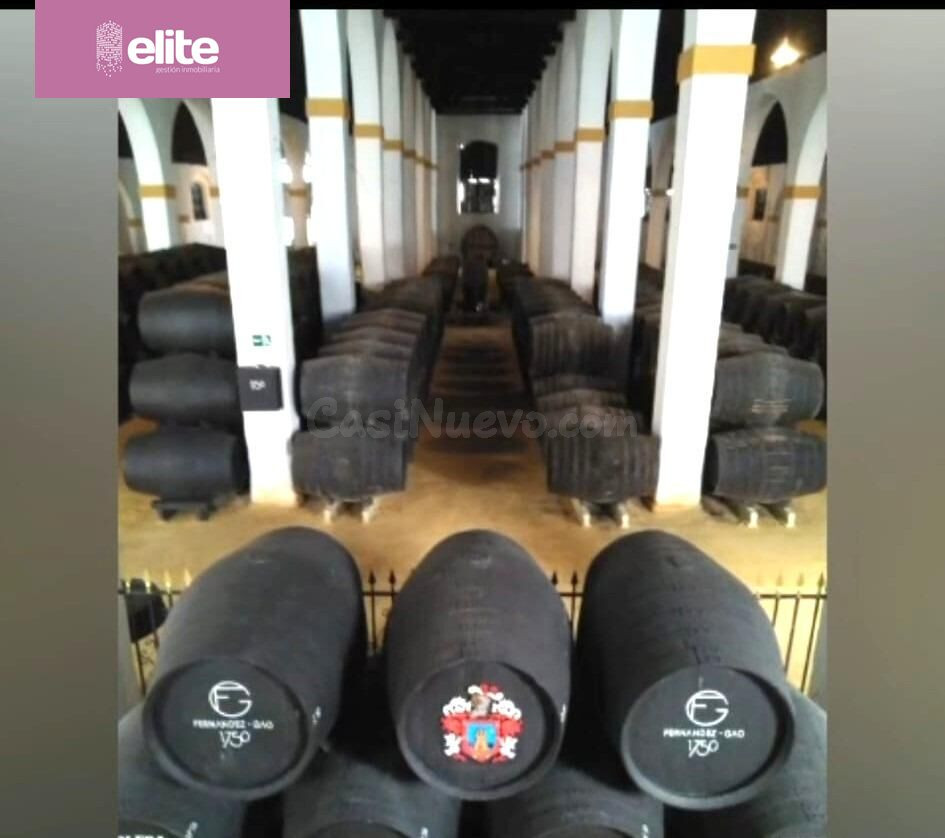 MAGNIFICO CASO DE BODEGA EN EL CENTRO DE JEREZ REFORMADO - foto 4