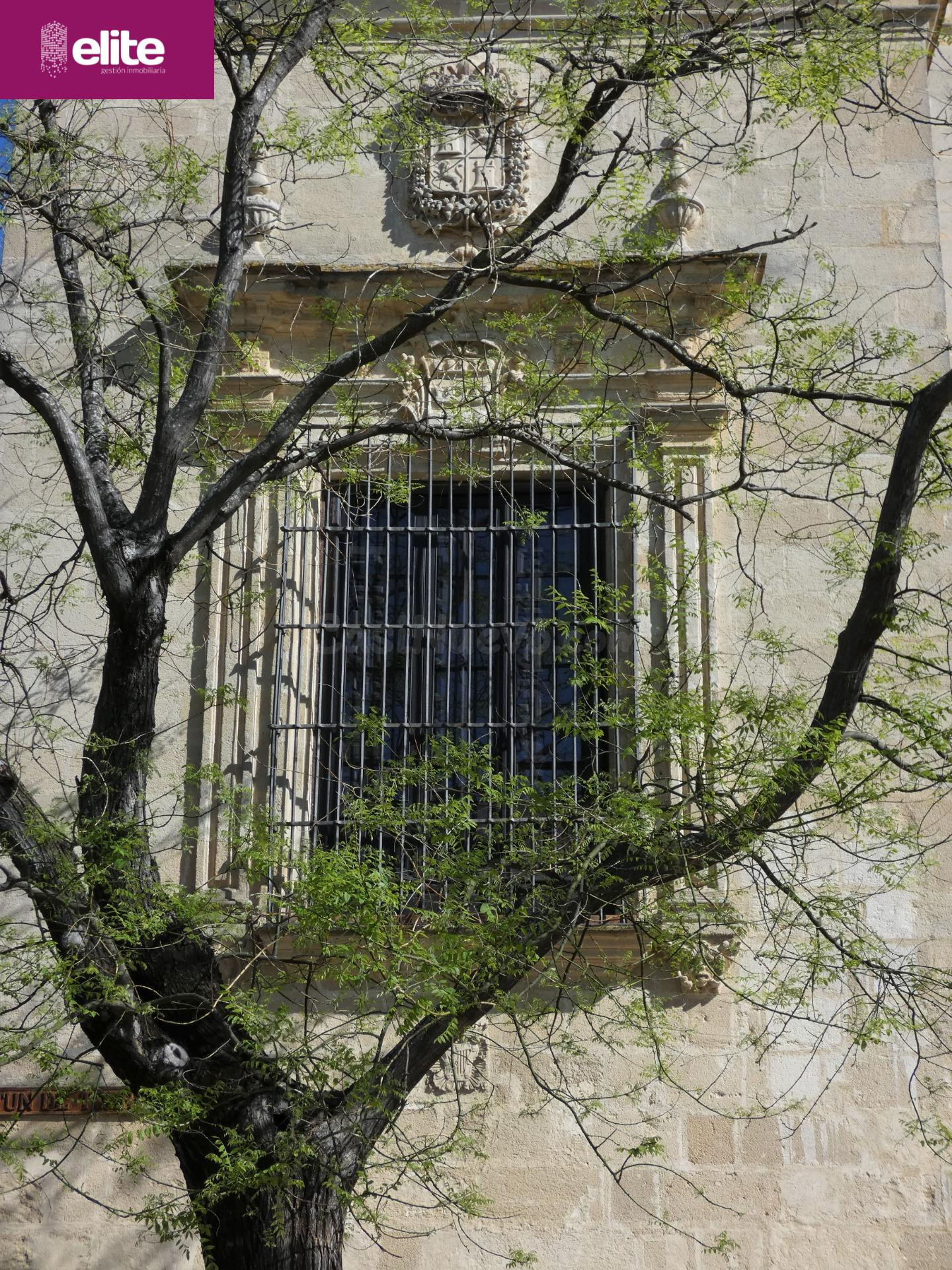 OPORTUNIDAD DE INVERSION CASA CON PROYECTO EN EL CENTRO DE J - foto 3