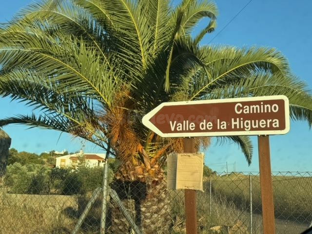 CASABANCO VENDE FINCA RÚSTICA EN CAMINO VALLE DE LA HIGUERA 