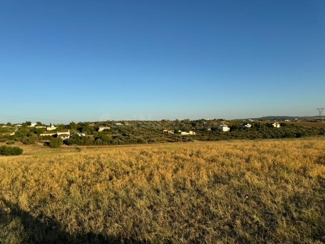 CASABANCO VENDE FINCA RÚSTICA EN CAMINO VALLE DE LA HIGUERA  - foto 2