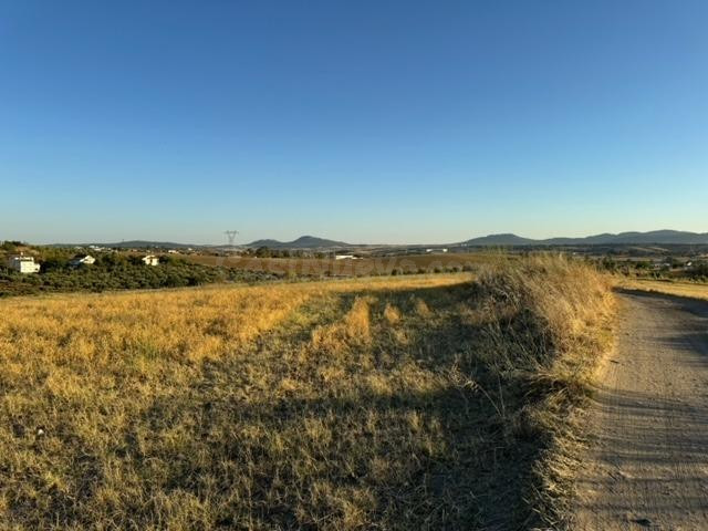 CASABANCO VENDE FINCA RÚSTICA EN CAMINO VALLE DE LA HIGUERA  - foto 3