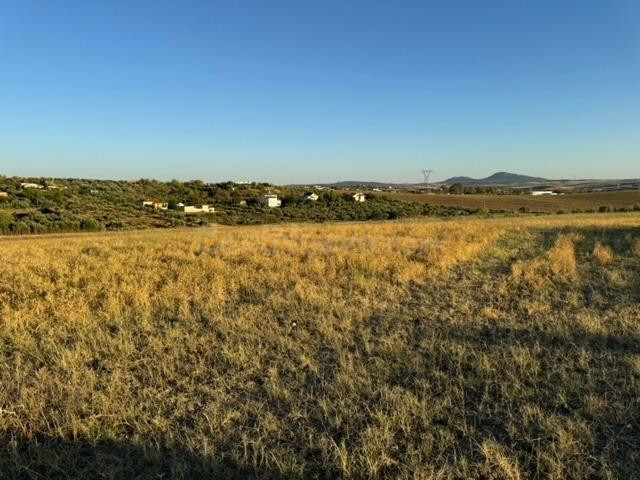 CASABANCO VENDE FINCA RÚSTICA EN CAMINO VALLE DE LA HIGUERA  - foto 4