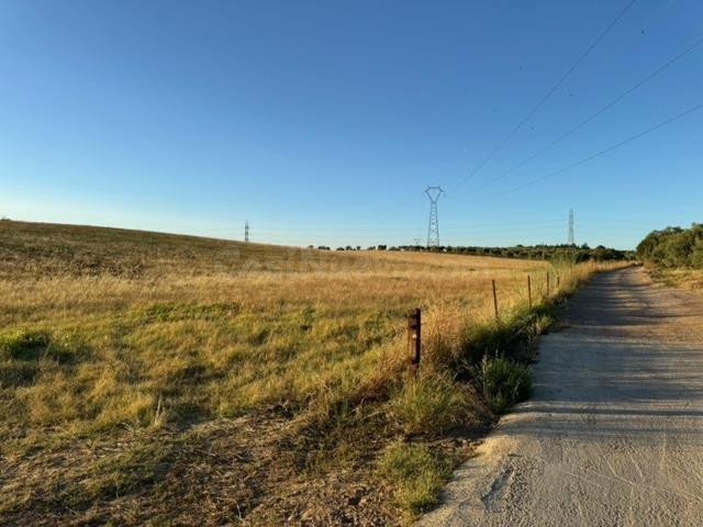 CASABANCO VENDE FINCA RÚSTICA EN CAMINO VALLE DE LA HIGUERA  - foto 5