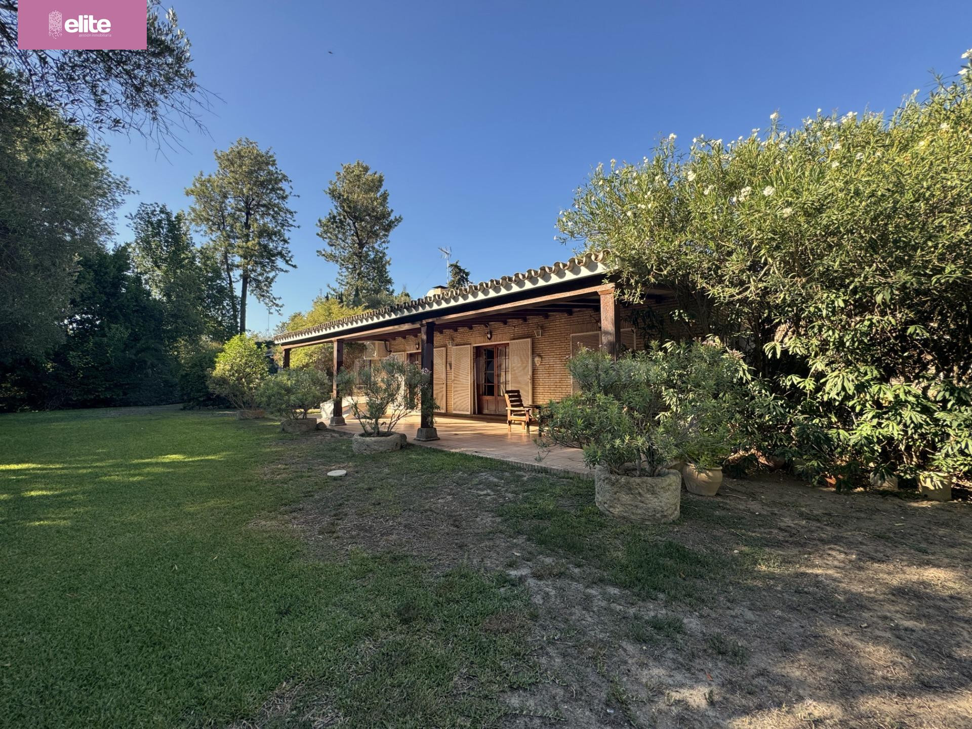 MAGNIFICO CHALET - foto 2