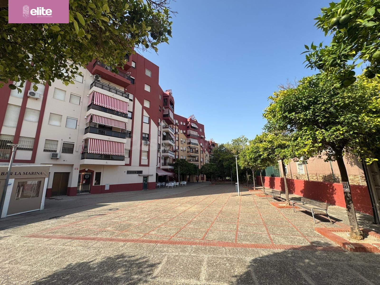 ESTUPENDO PISO EN LAS DELICIAS CERCA DE LA UNIVERSIDAD - foto 2