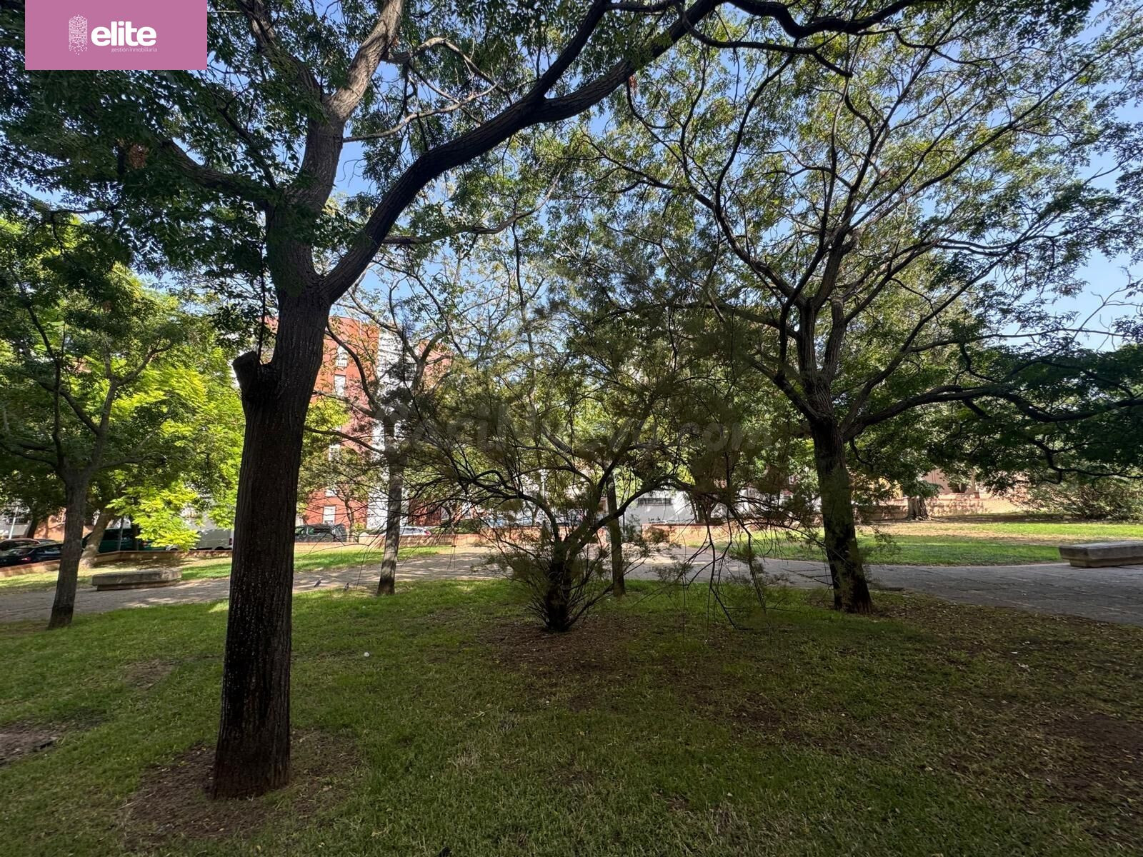 ESTUPENDO PISO EN LAS DELICIAS CERCA DE LA UNIVERSIDAD - foto 3