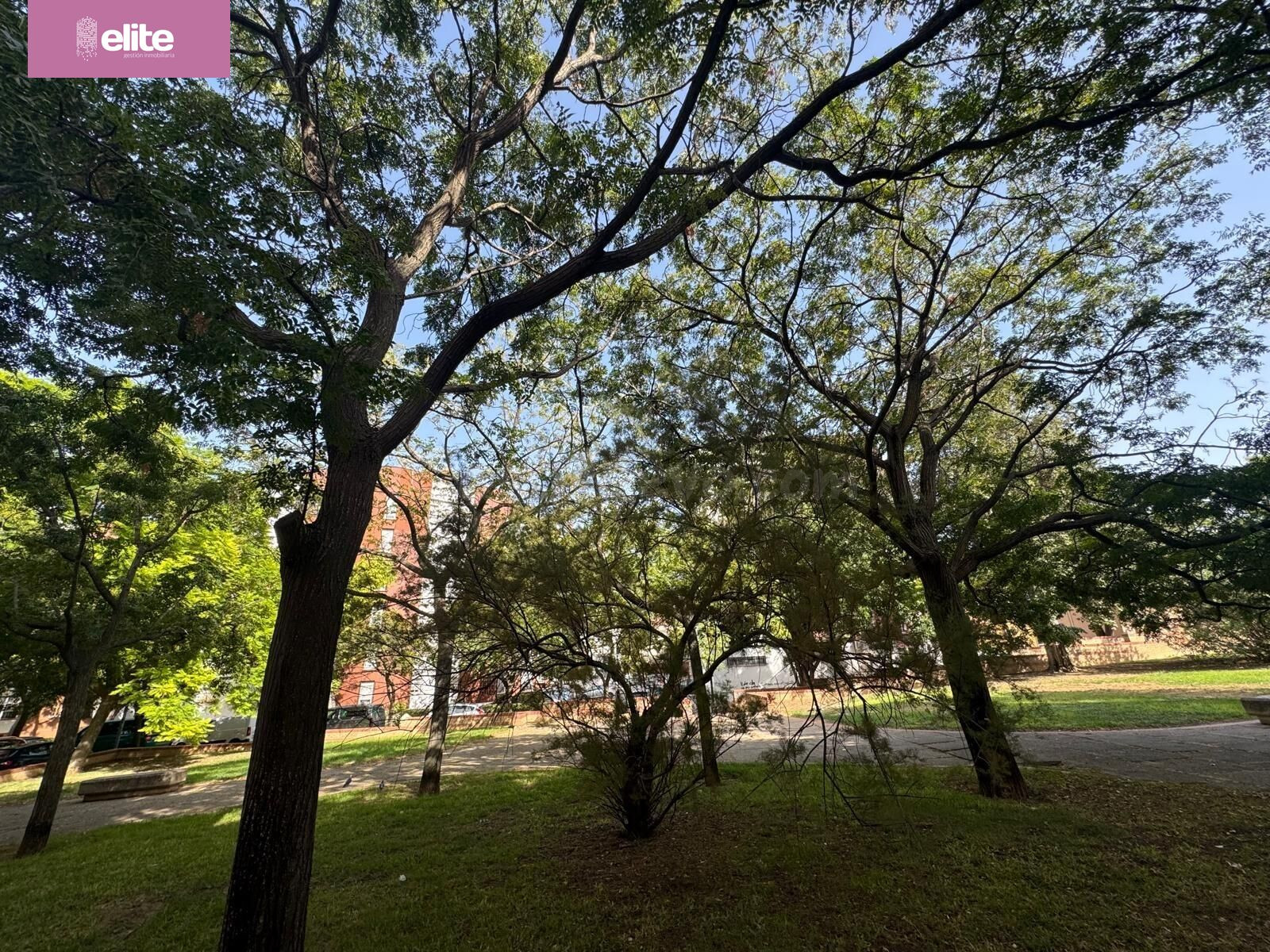 ESTUPENDO PISO EN LAS DELICIAS CERCA DE LA UNIVERSIDAD - foto 4