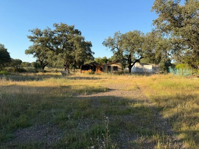 CASABANCO VENDE FINCA CON VIVIENDA ZONA DE BOTOA.