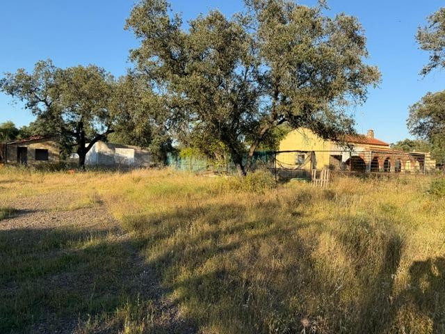 CASABANCO VENDE FINCA CON VIVIENDA ZONA DE BOTOA. - foto 2