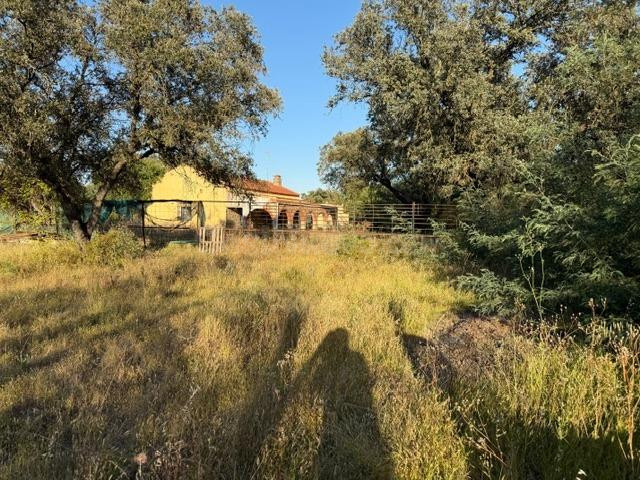 CASABANCO VENDE FINCA CON VIVIENDA ZONA DE BOTOA. - foto 3