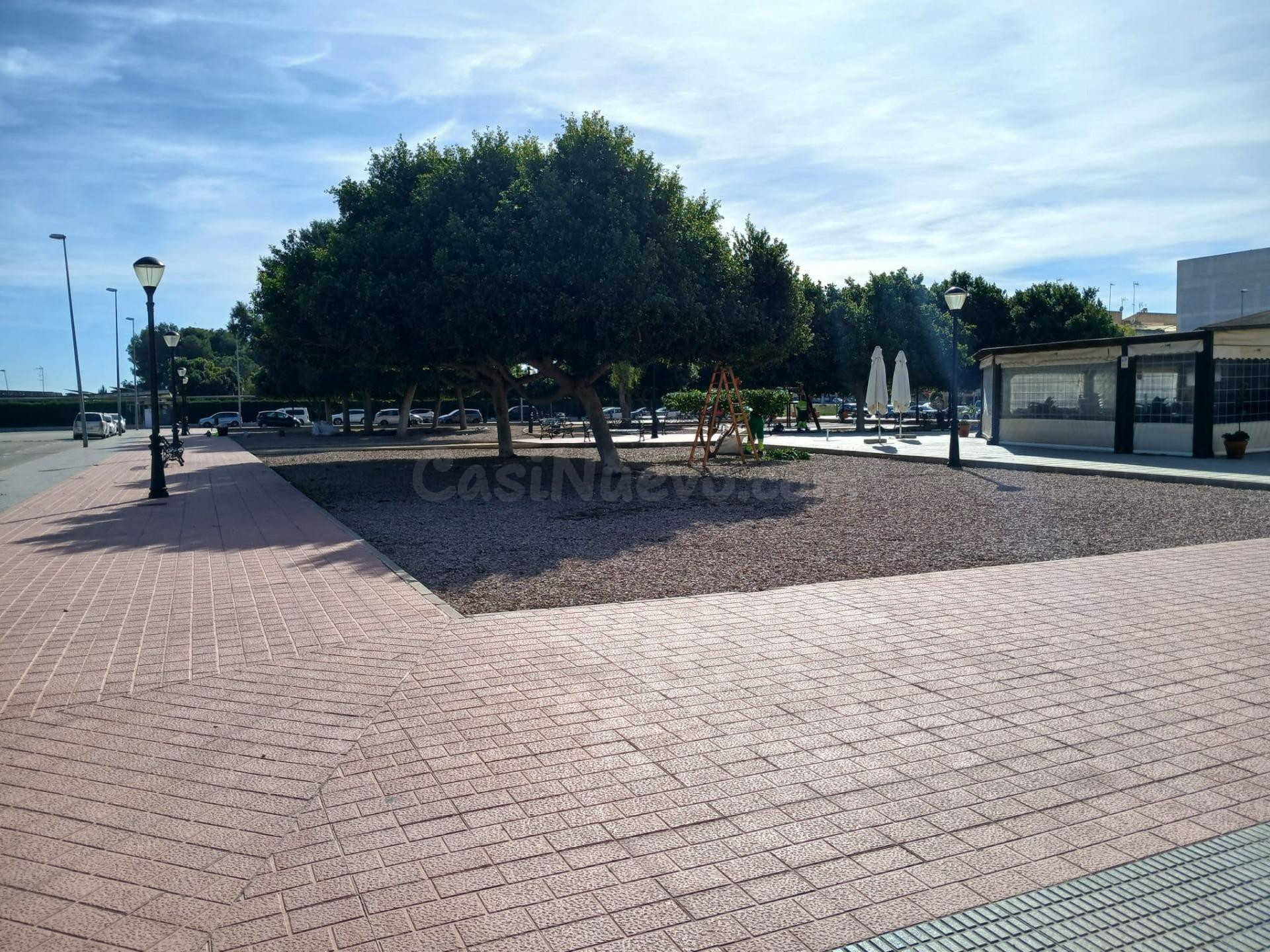 PARCELA EN ALMORADÍ