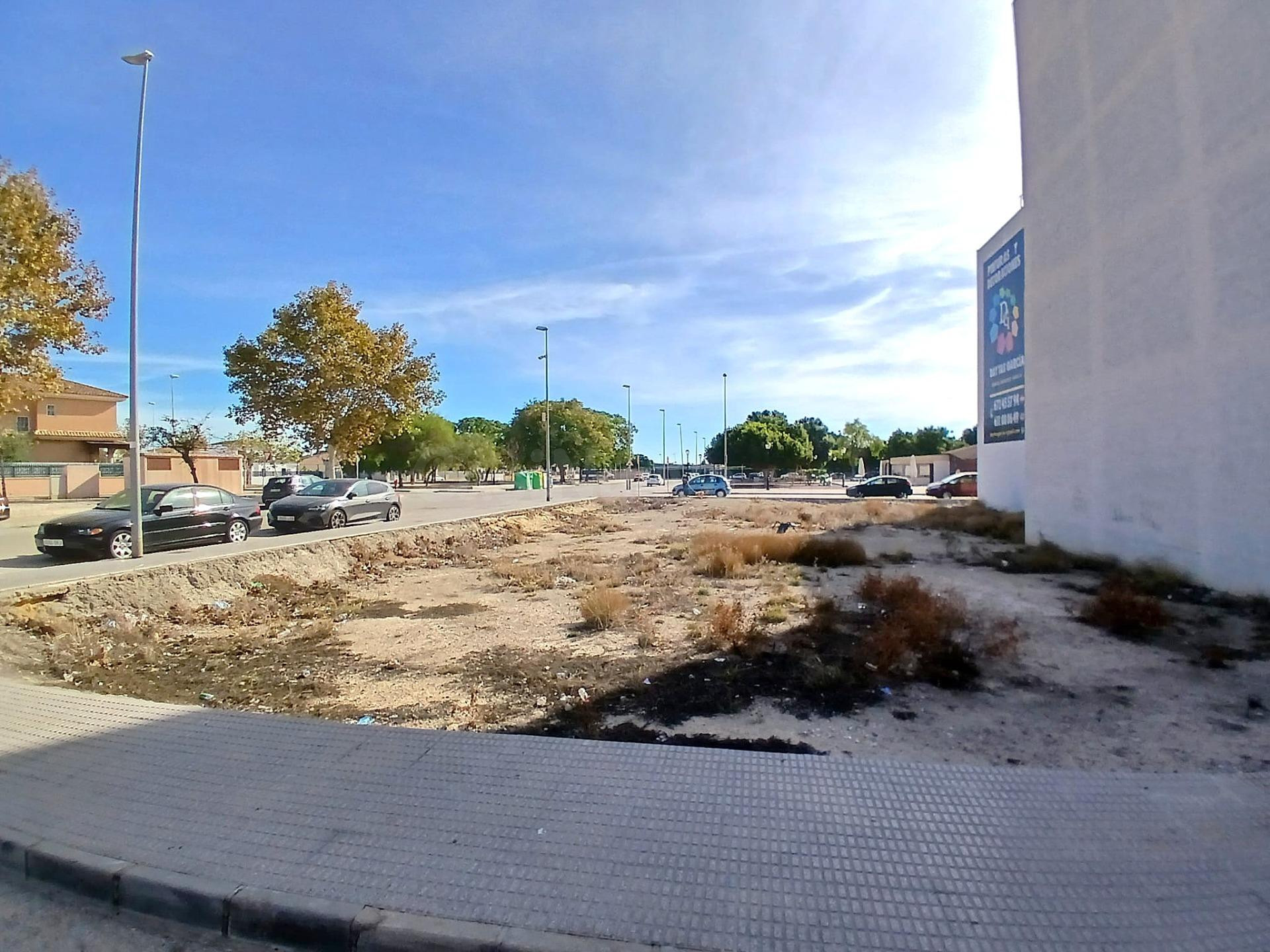 PARCELA EN ALMORADÍ - foto 2
