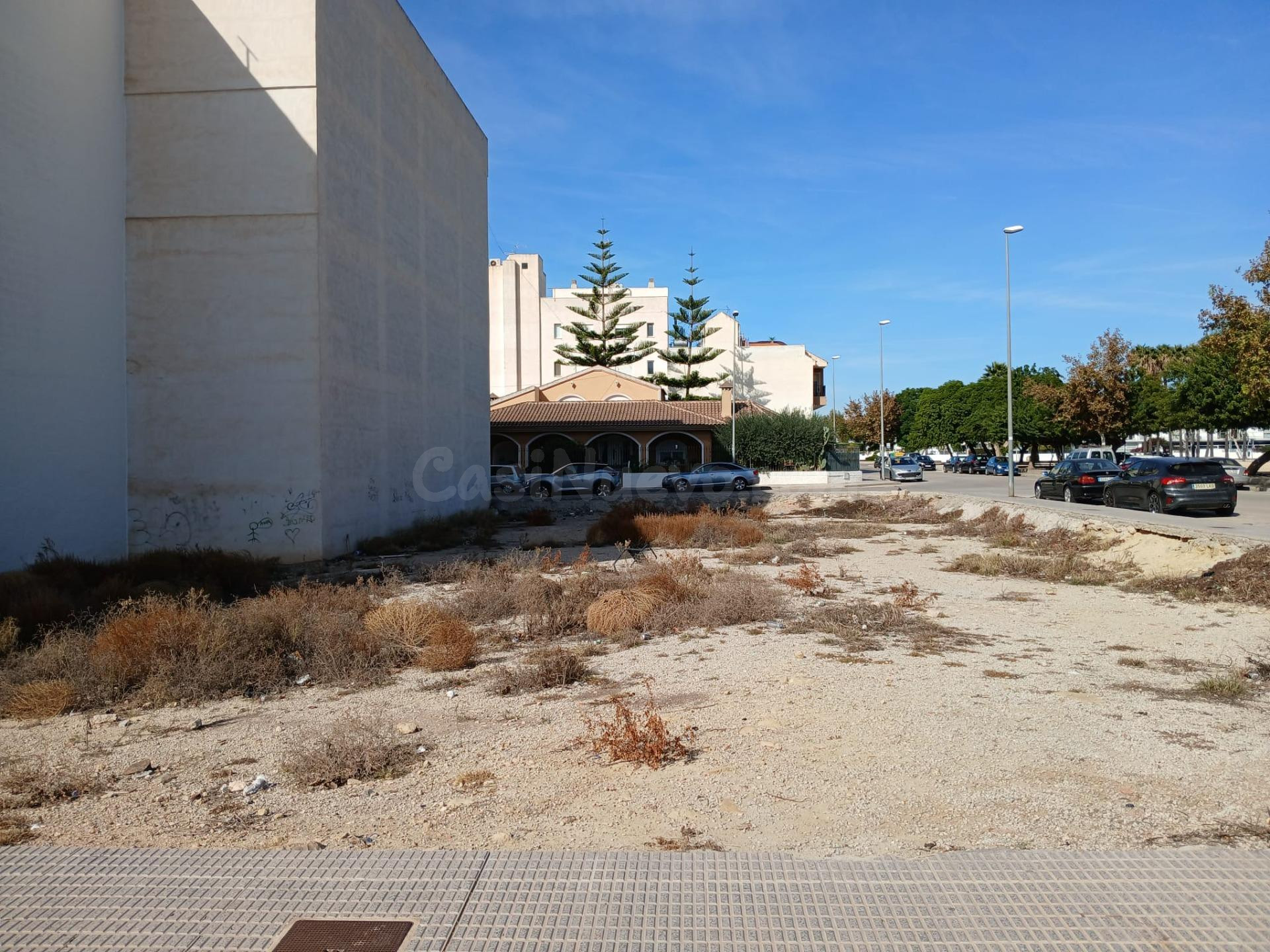 PARCELA EN ALMORADÍ - foto 3