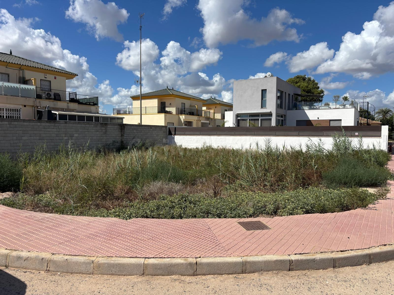 TERRENO URBANO EN CALLE IRLANDA , DAYA NUEVA - foto 2