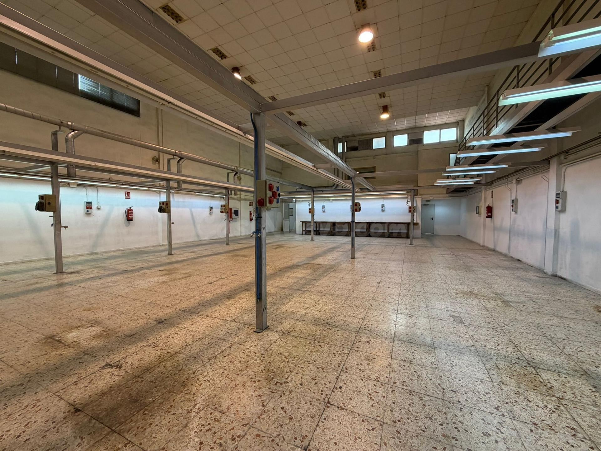 NAVE EN ELCHE - foto 5