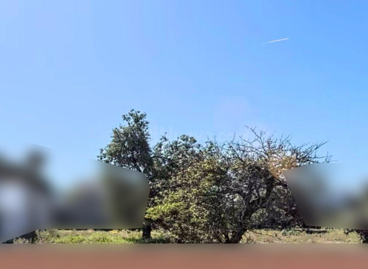 Se venden 4 parcelas urbanas entre La Soledad y El Campito