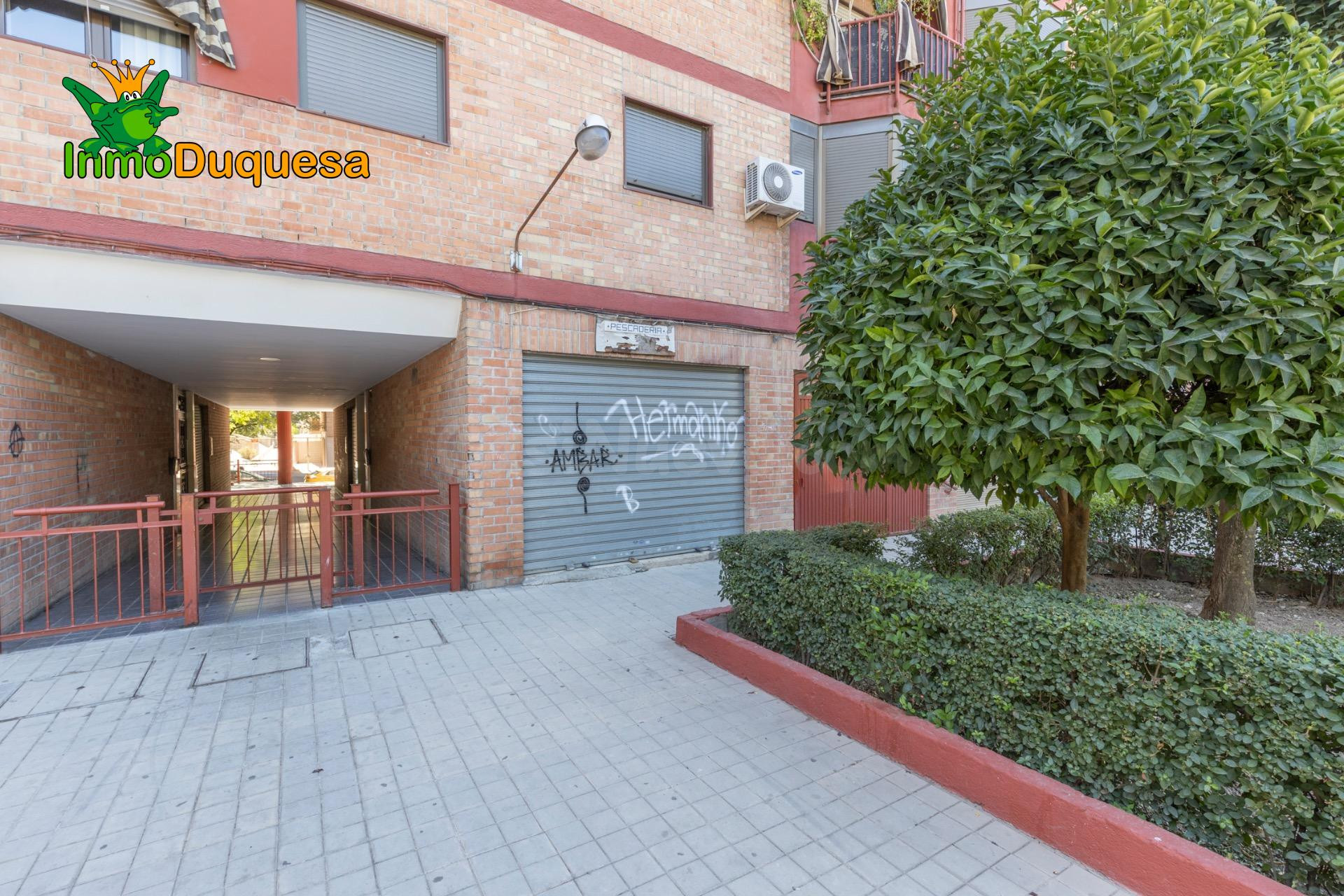 Local en zona ALCAMPO con 35 m2.