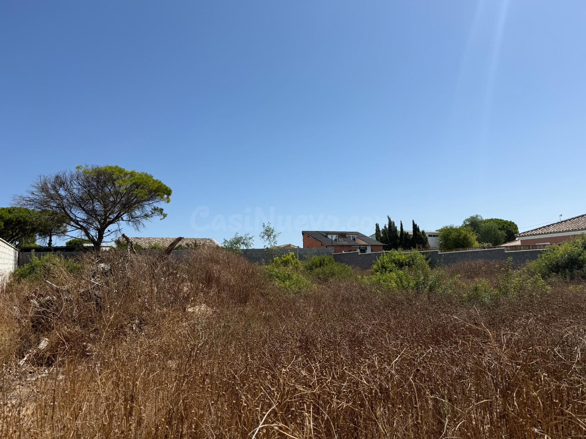 Parcela rústica en venta en la Zona de Campano
