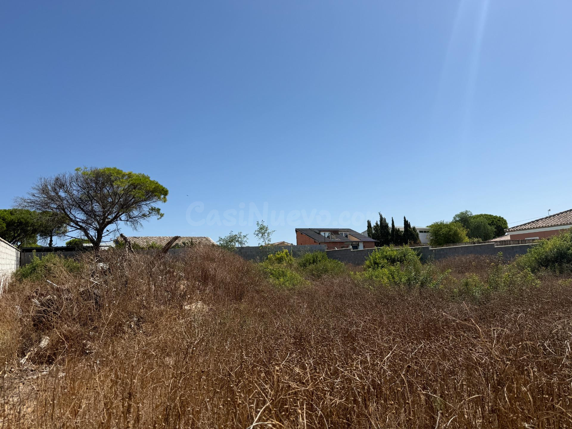 Parcela rústica en venta en la Zona de Campano - foto 2