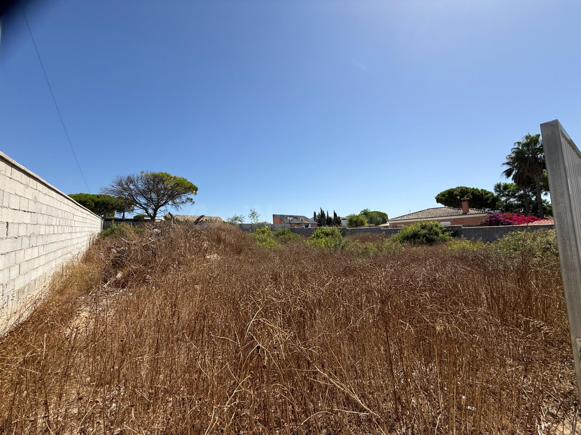 Parcela rústica en venta en la Zona de Campano - foto 3