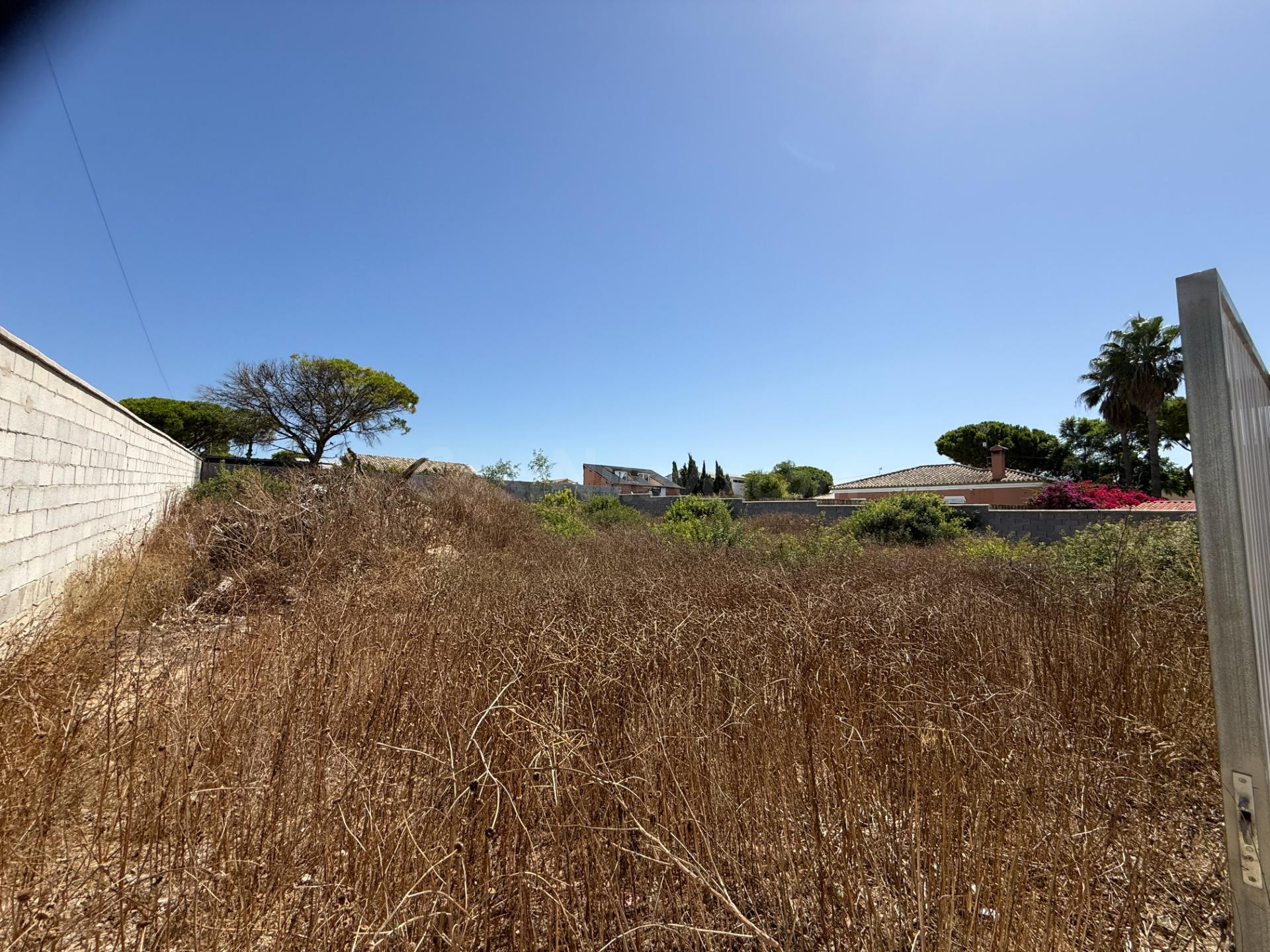 Parcela rústica en venta en la Zona de Campano - foto 4