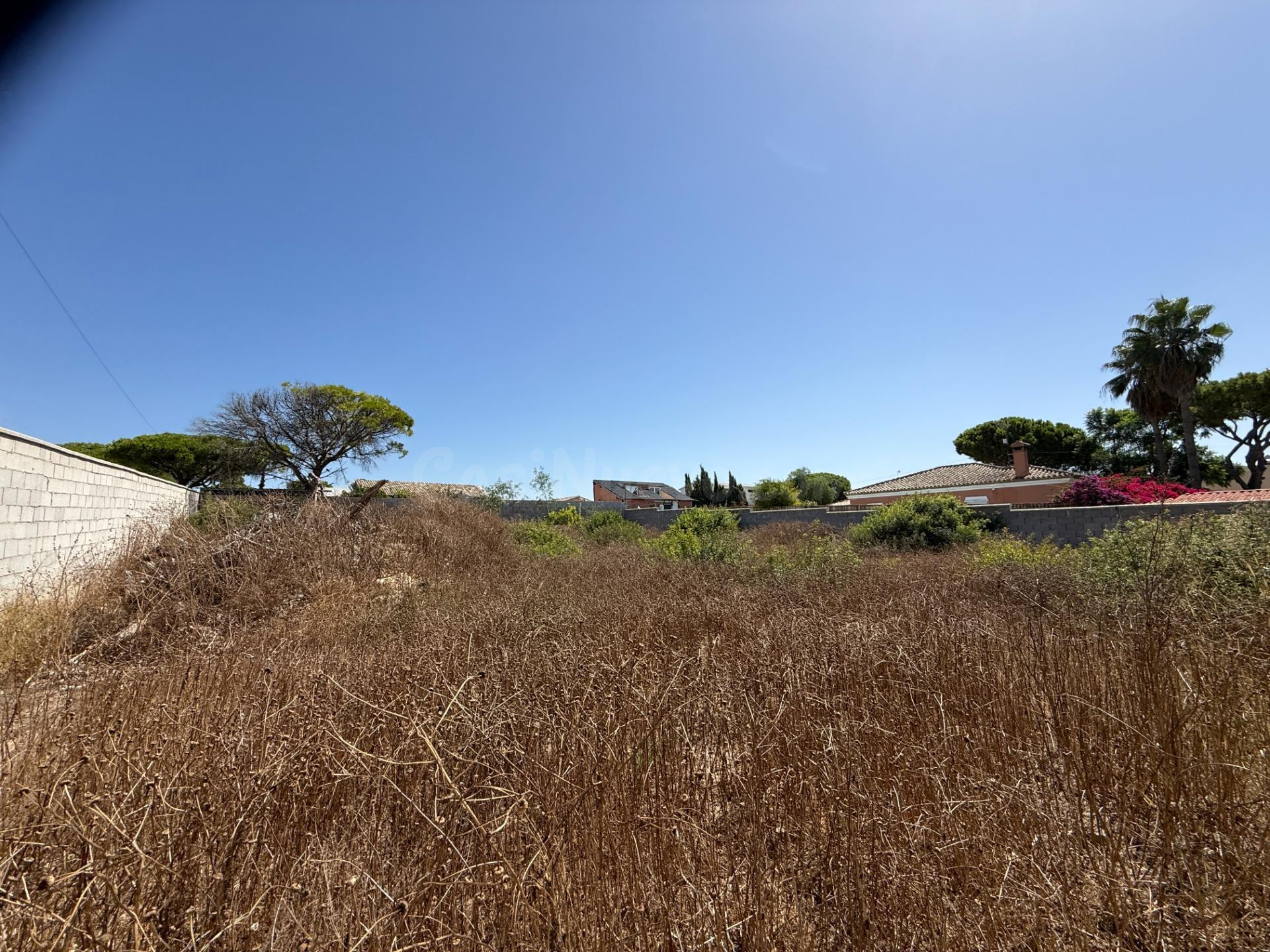 Parcela rústica en venta en la Zona de Campano - foto 5