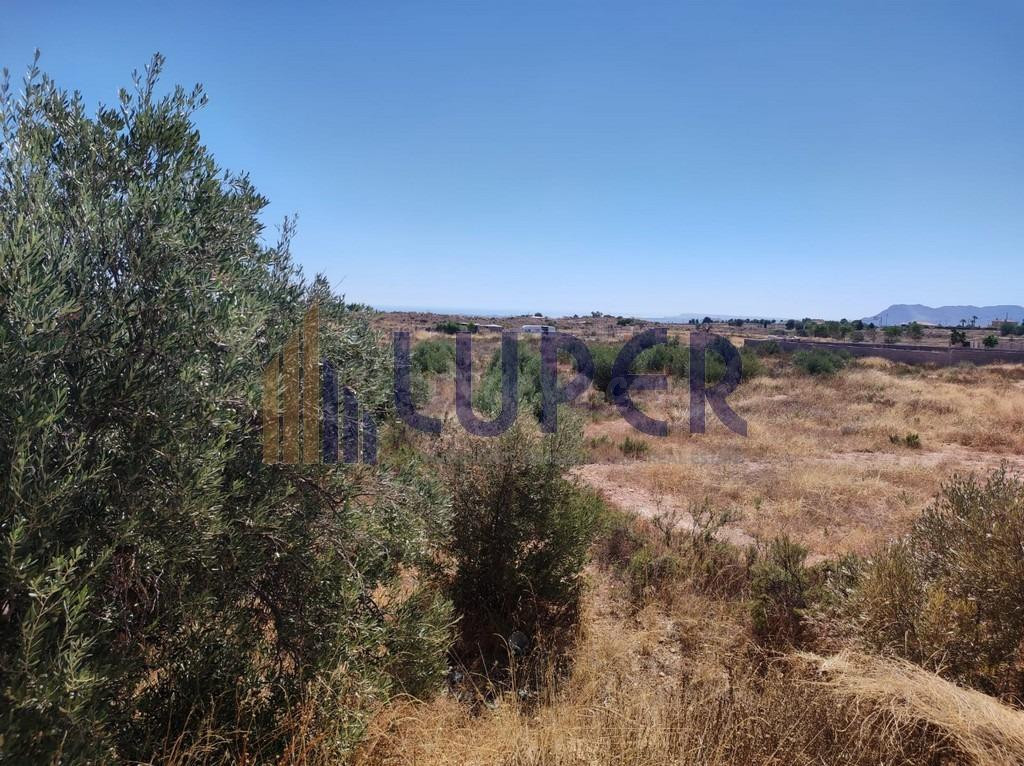 Terreno rústico en El Moralet – 9.000 m2 - foto 2