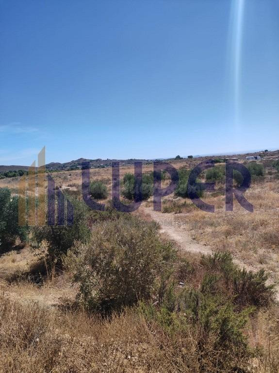 Terreno rústico en El Moralet – 9.000 m2 - foto 3