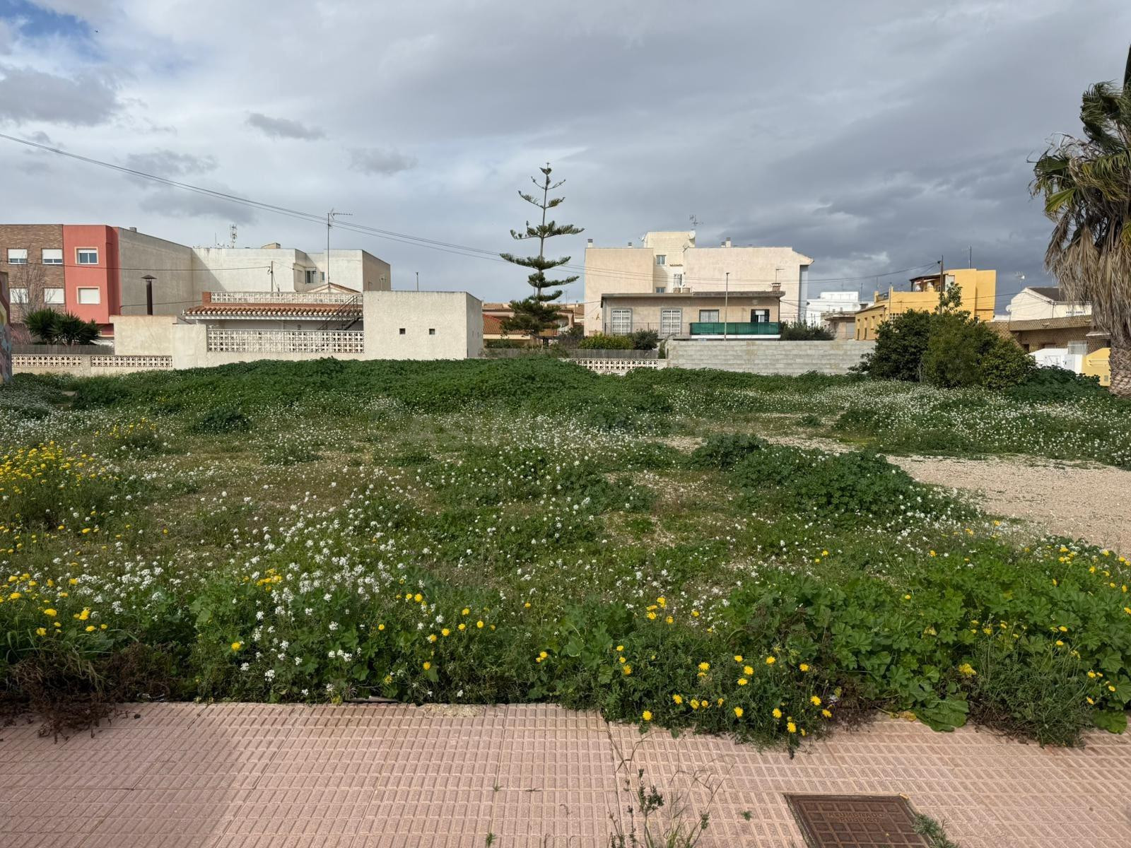 Terreno Urbanizable en Los Alcázares - foto 2