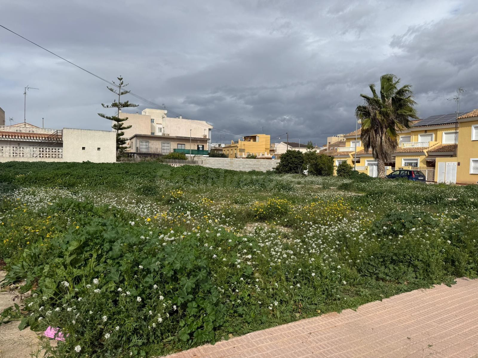 Terreno Urbanizable en Los Alcázares - foto 3
