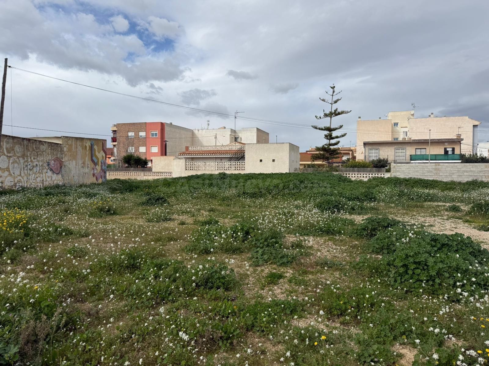 Terreno Urbanizable en Los Alcázares - foto 4