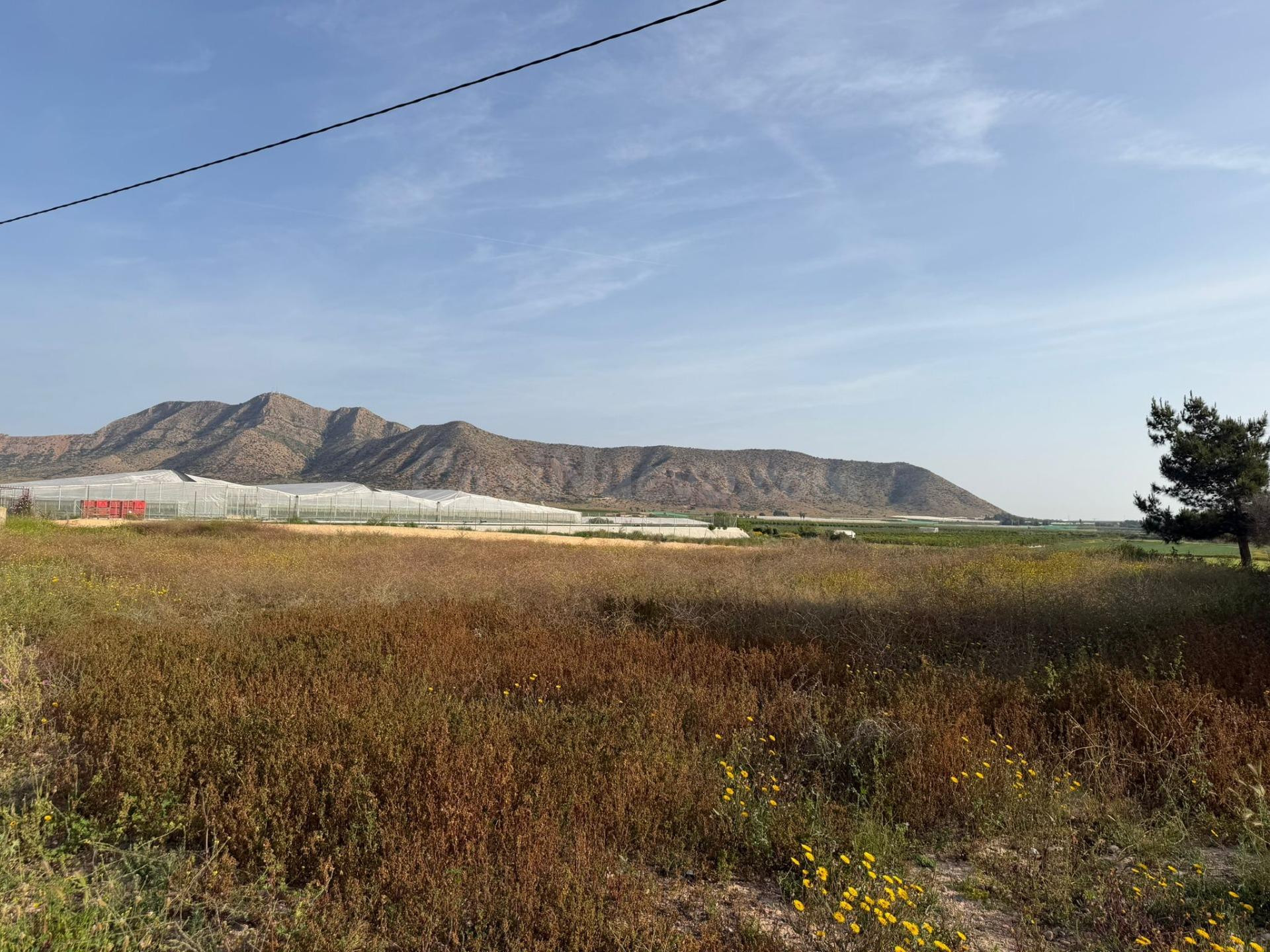 ¡Gran oportunidad! Terreno de regadío en Torre Pacheco