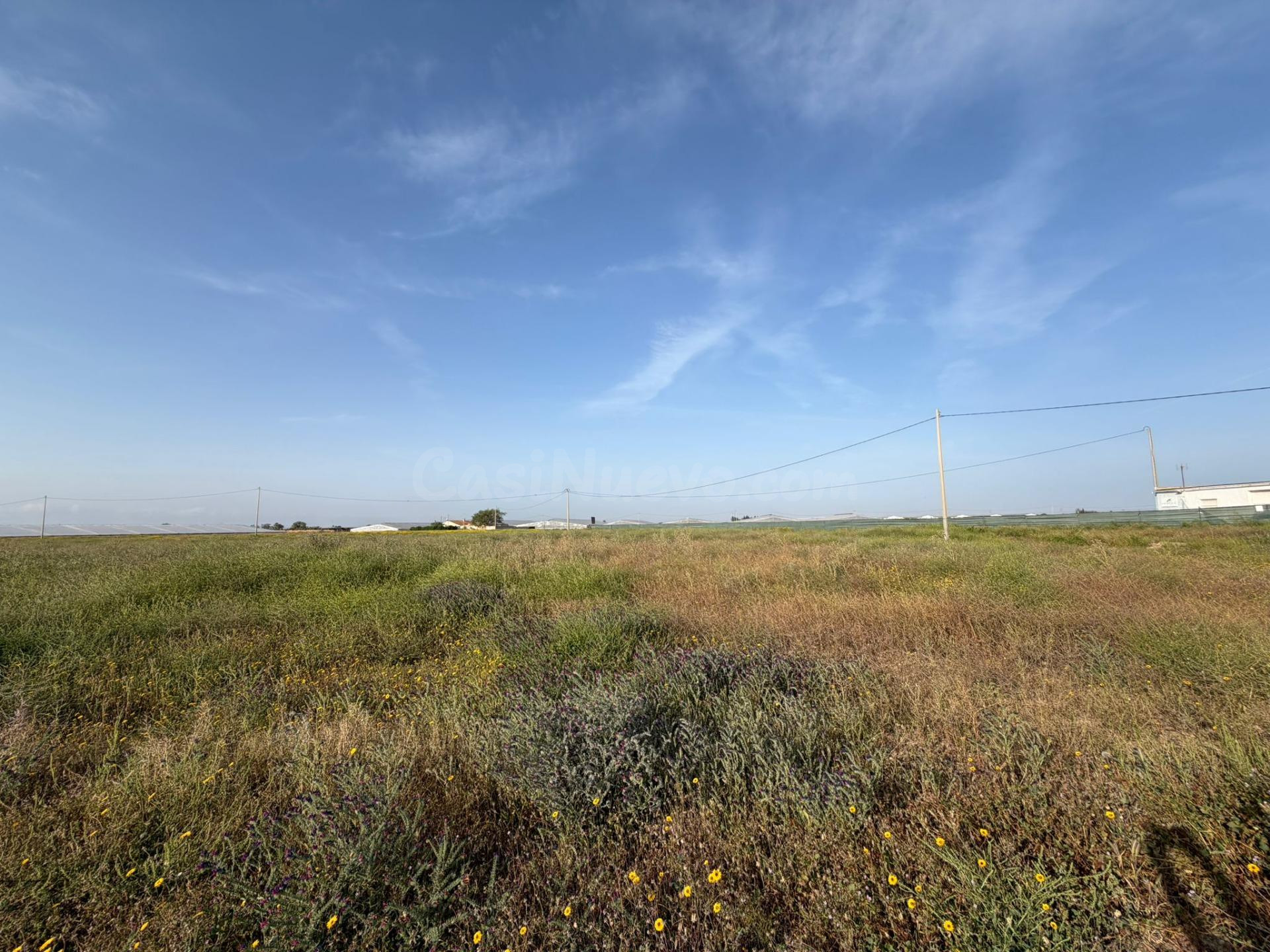 ¡Gran oportunidad! Terreno de regadío en Torre Pacheco - foto 2