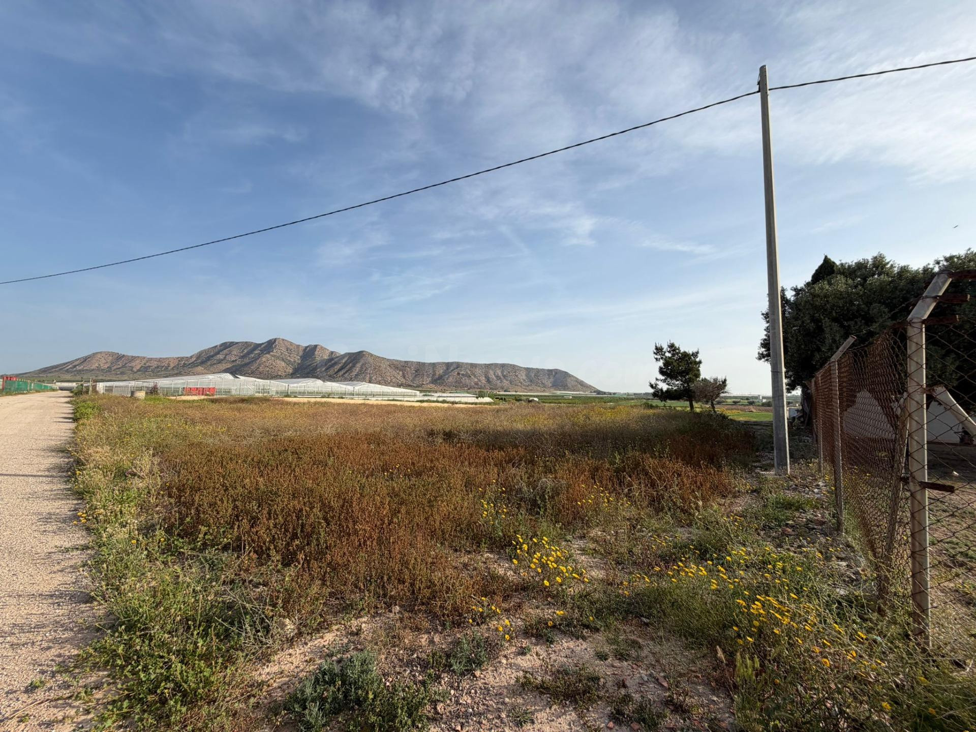 ¡Gran oportunidad! Terreno de regadío en Torre Pacheco - foto 3