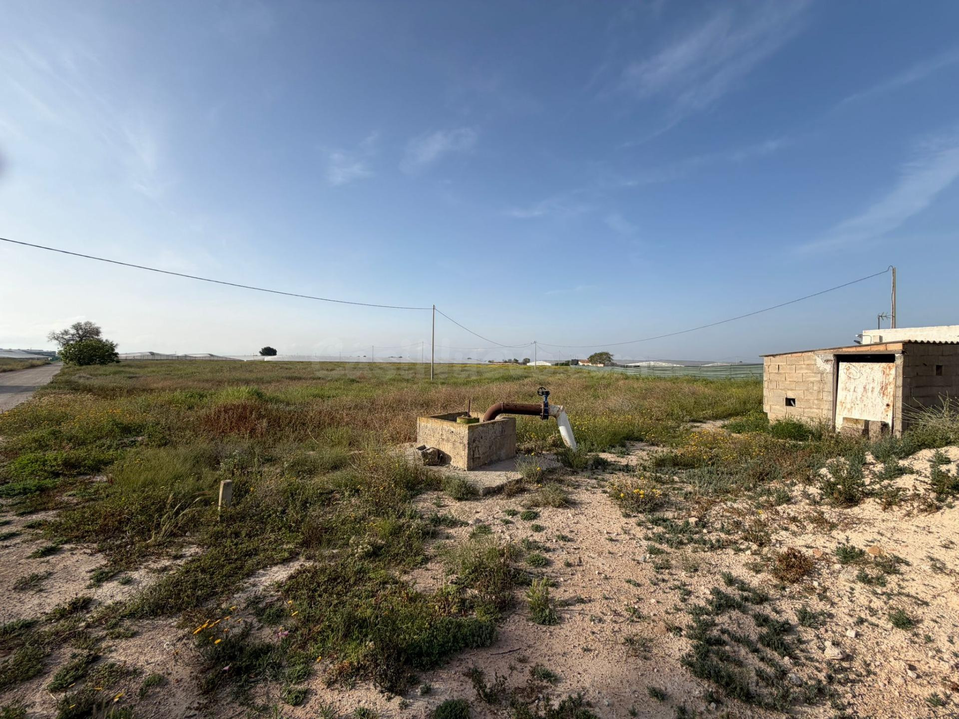 ¡Gran oportunidad! Terreno de regadío en Torre Pacheco - foto 4