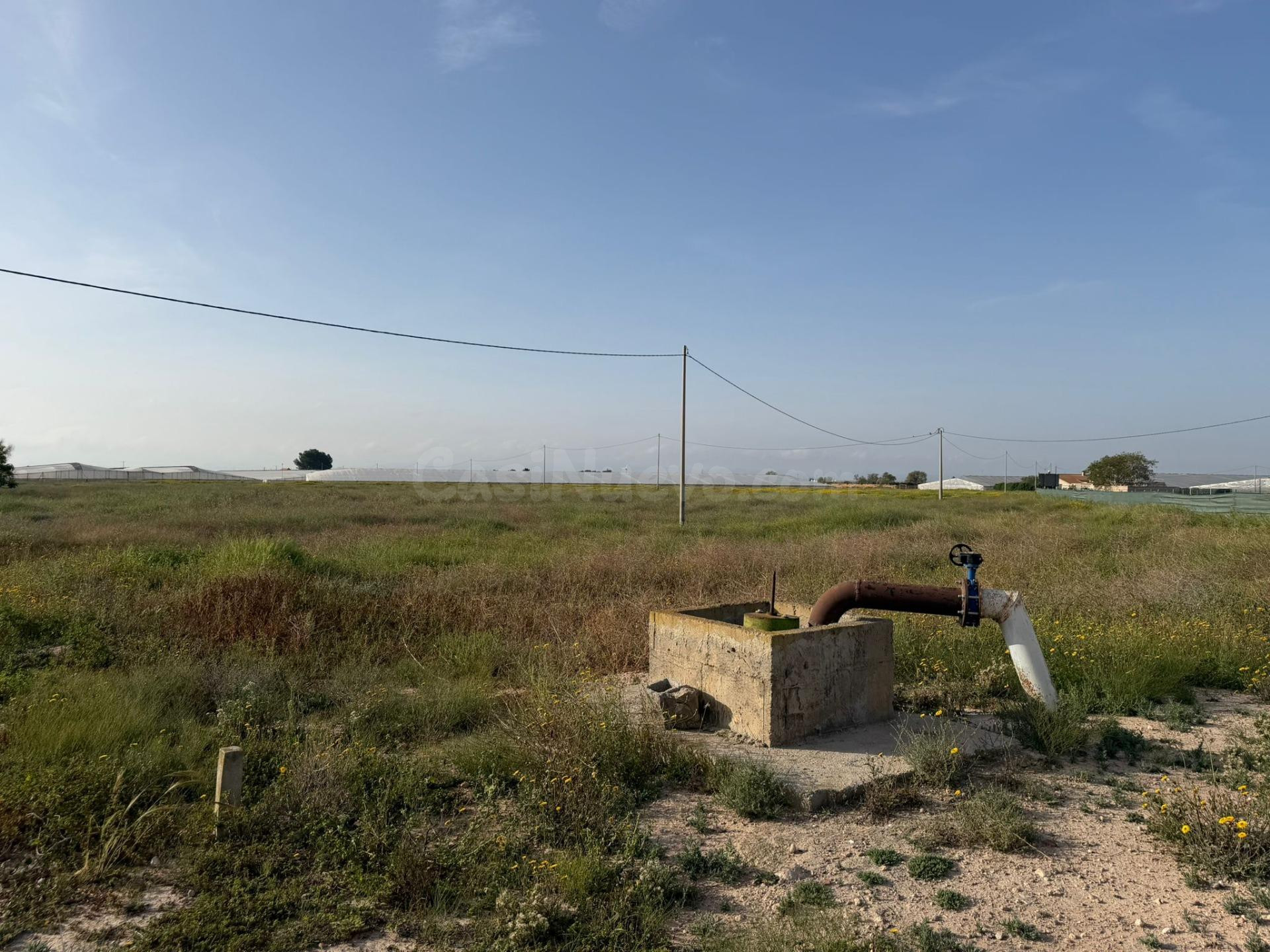 ¡Gran oportunidad! Terreno de regadío en Torre Pacheco - foto 5