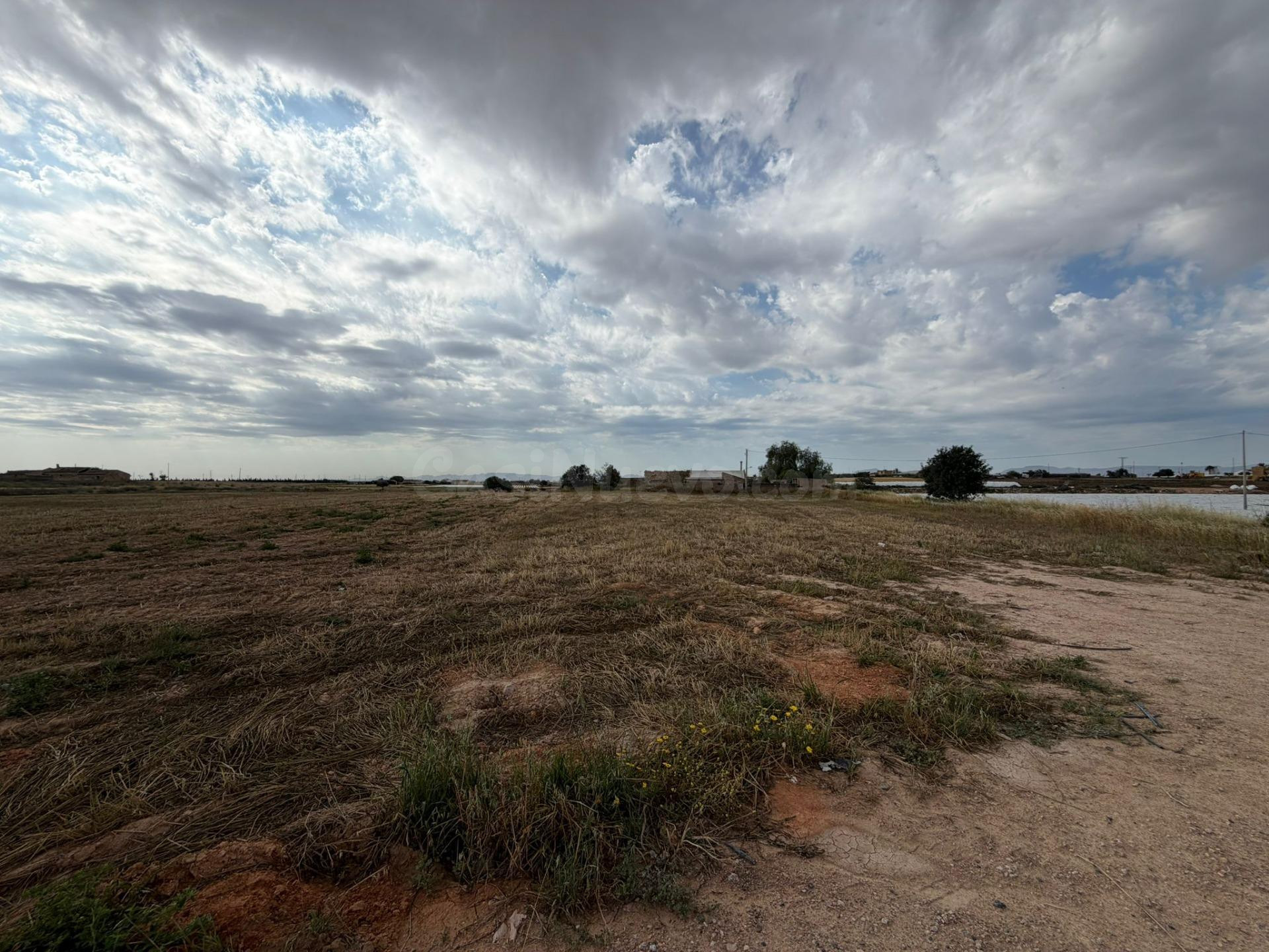 TERRENO RÚSTICO EN ROLDÁN – TORRE PACHECO - foto 3