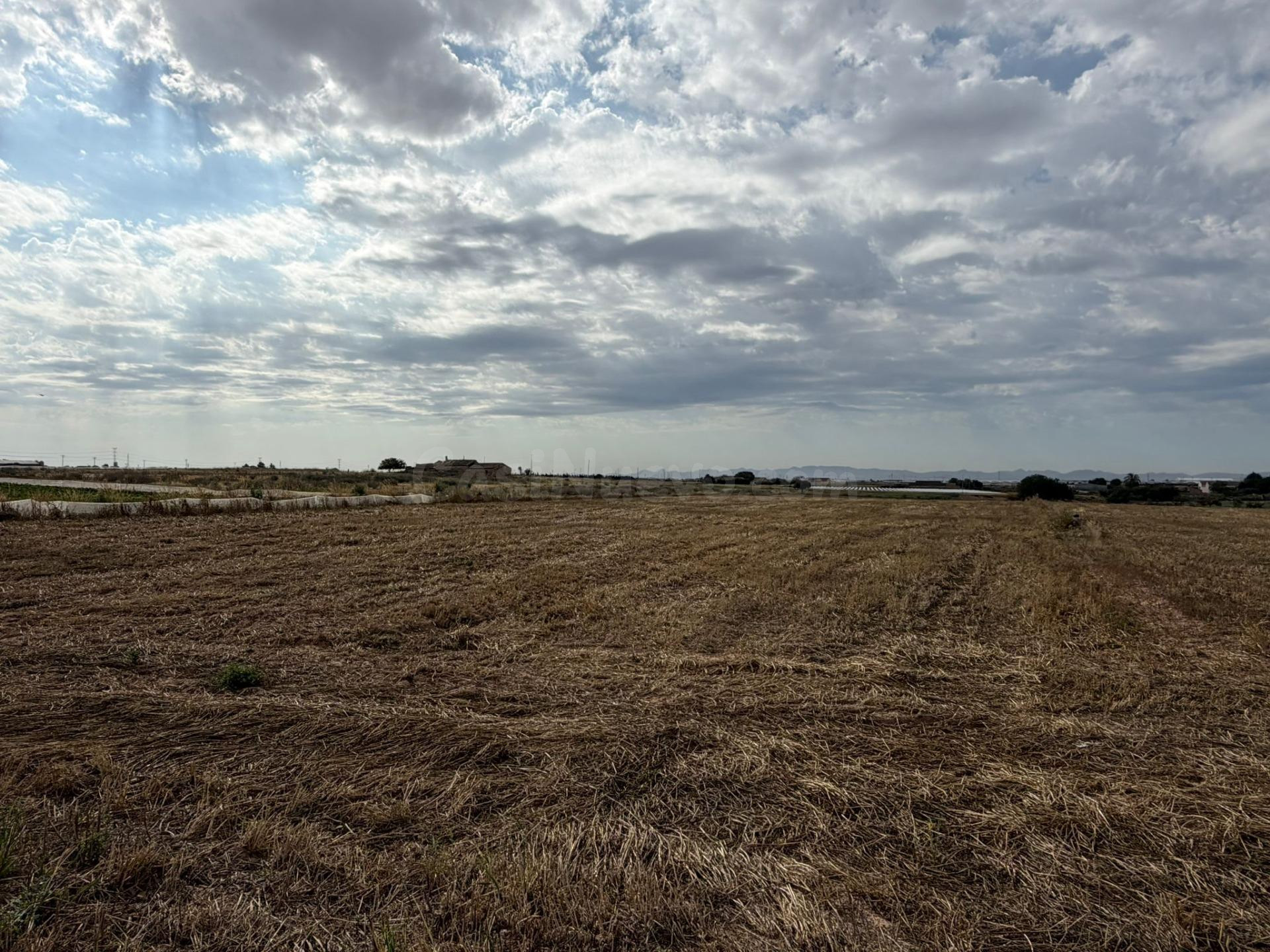 TERRENO RÚSTICO EN ROLDÁN – TORRE PACHECO - foto 4