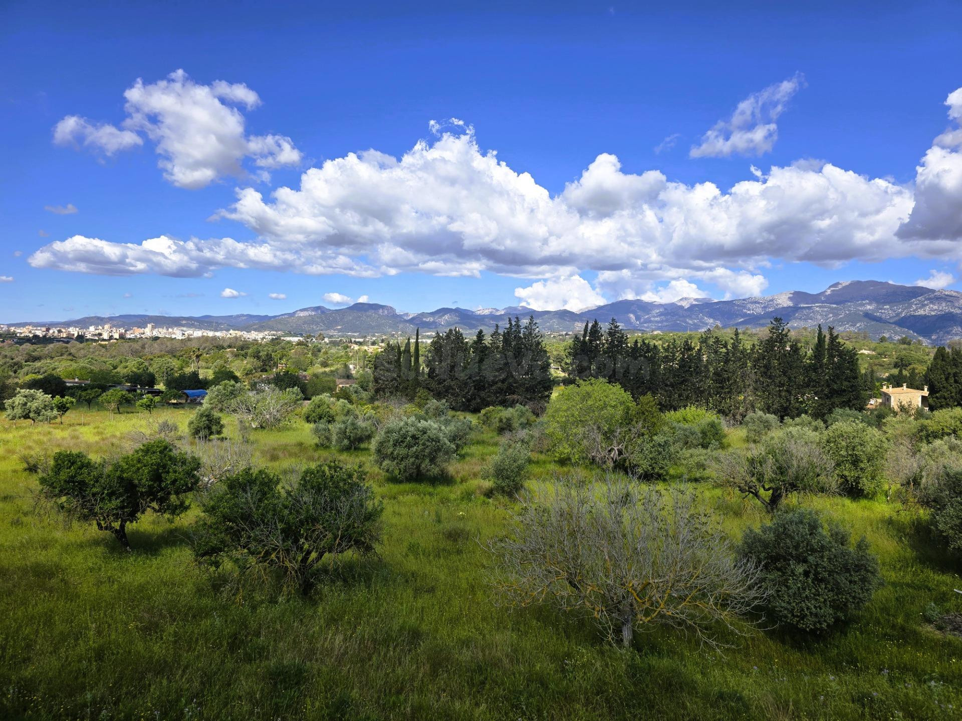Finca Rustica en Inca. - foto 3