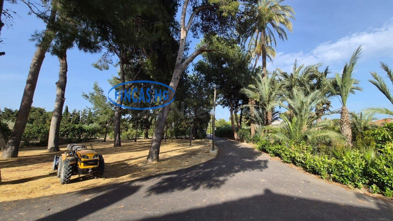 Espectacular finca de 20.775 m2 con chalet a estrenar junto  - foto 4
