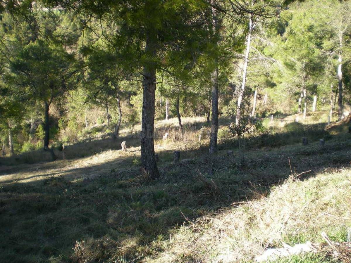 Solar en venta - foto 5