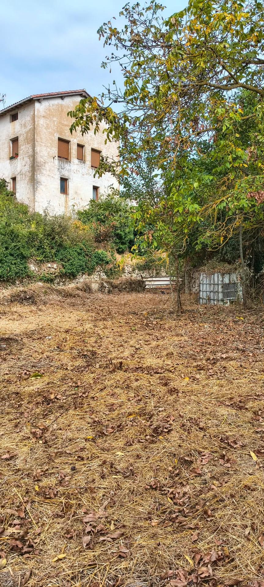 CASA DE PUEBLO PARA REFORMAR CON TERRENO CERCANO EN LARRAONA - foto 4