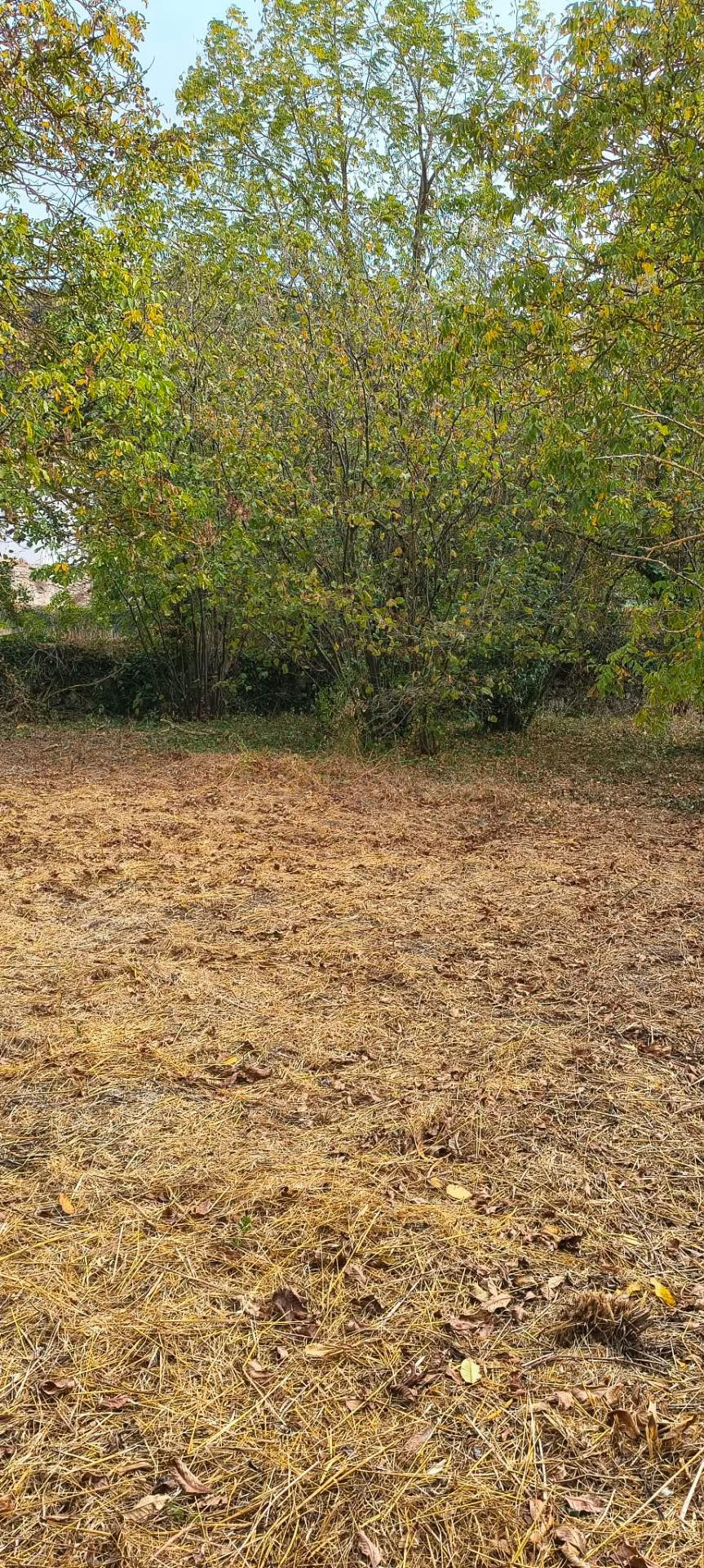CASA DE PUEBLO PARA REFORMAR CON TERRENO CERCANO EN LARRAONA - foto 5