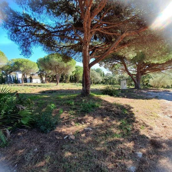 Exclusivas 4 parcelas urbanas en Sotogrande junto a Valderra